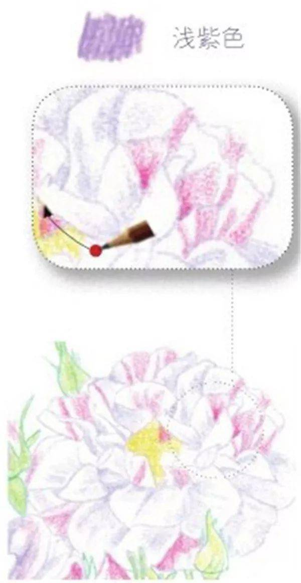 手绘彩铅唯美花朵步骤