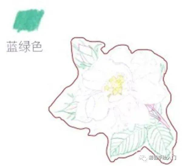 手绘彩铅唯美花朵步骤