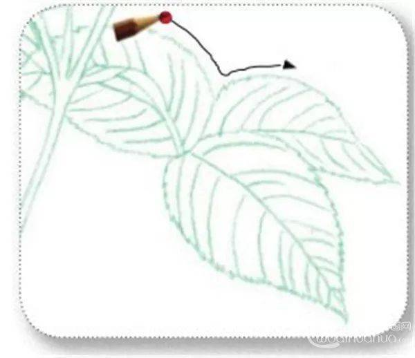 手绘彩铅唯美花朵步骤