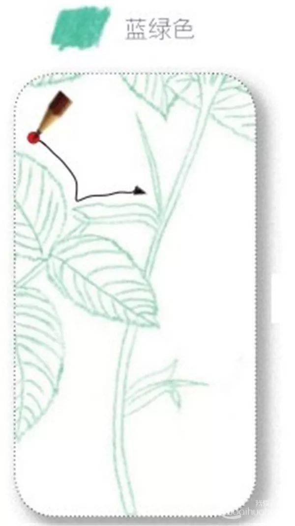 手绘彩铅唯美花朵步骤