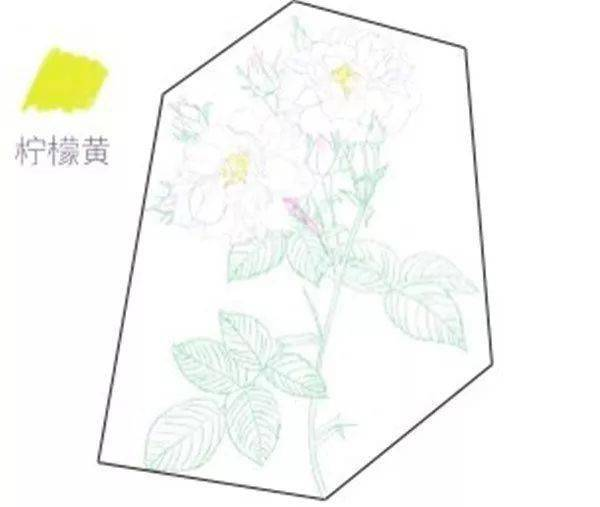 手绘彩铅唯美花朵步骤