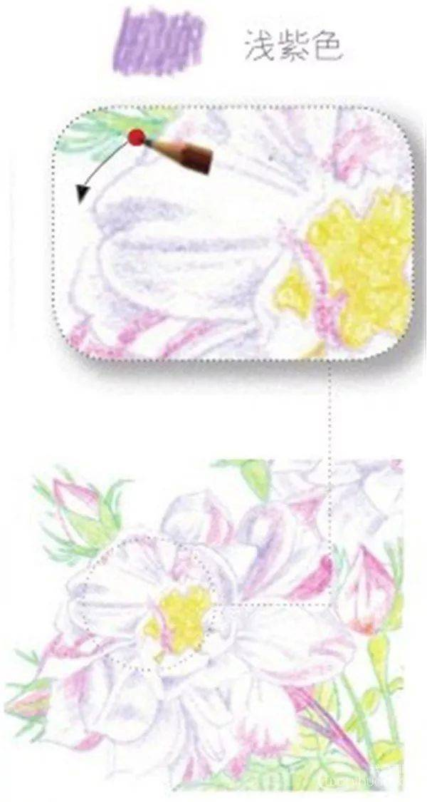 手绘彩铅唯美花朵步骤