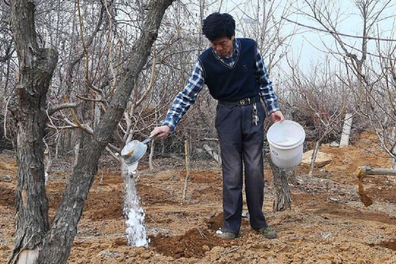 How much for a ton of eels