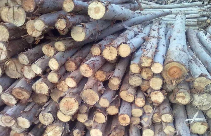 How much for a ton of eels