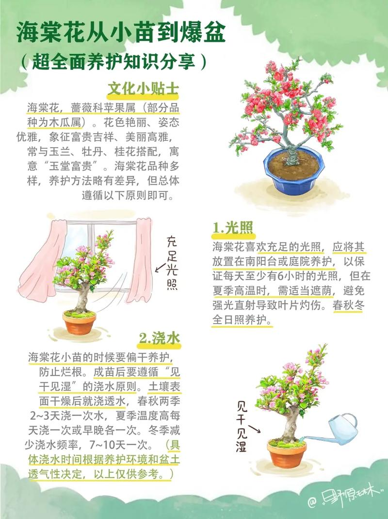 养花知识plantsword