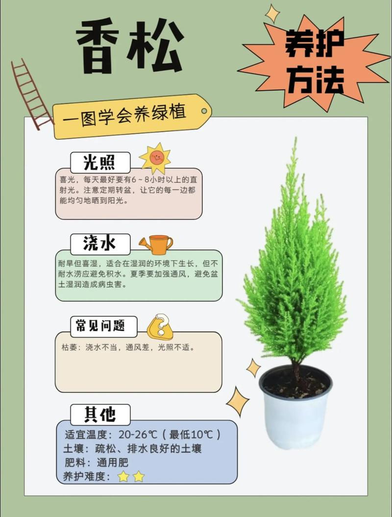 养花知识plantsword