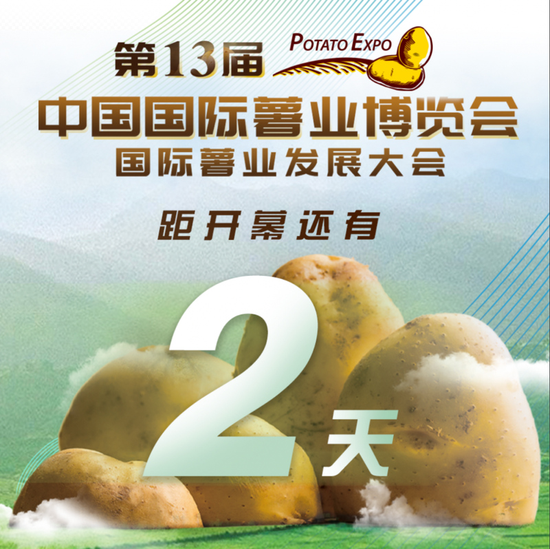 滕州大棚土豆种植技术