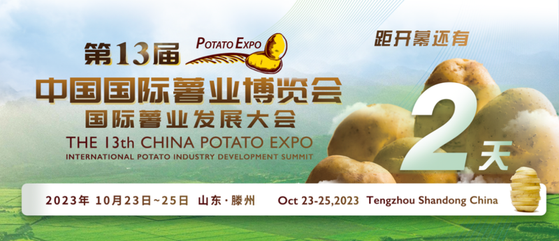 滕州大棚土豆种植技术