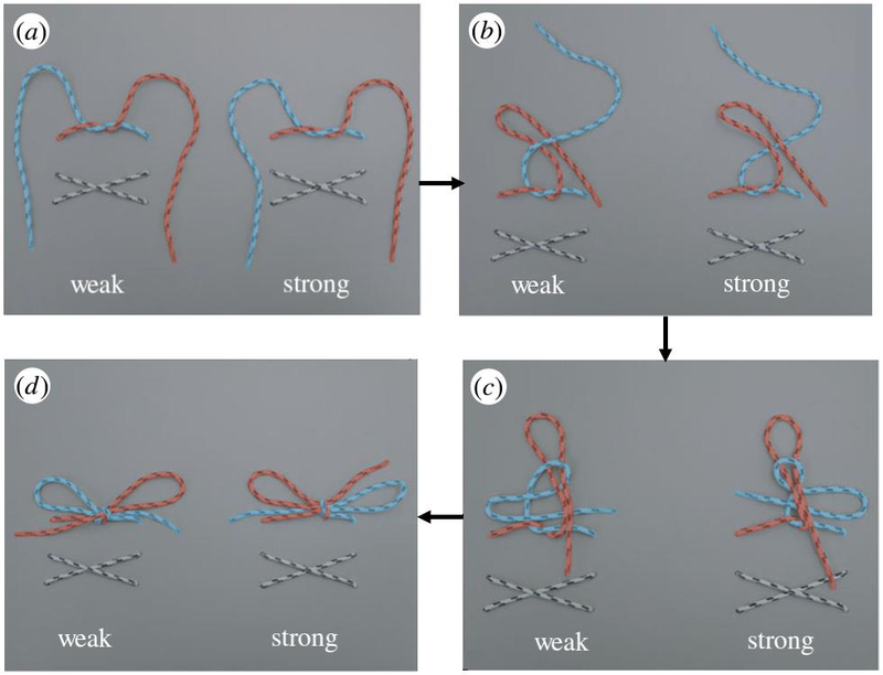 系鞋带扣的漂亮方法