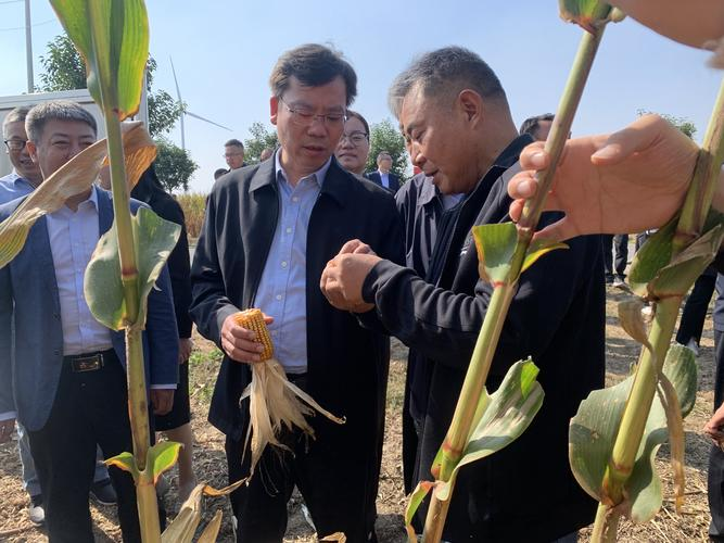 水稻玉米大豆种植技术