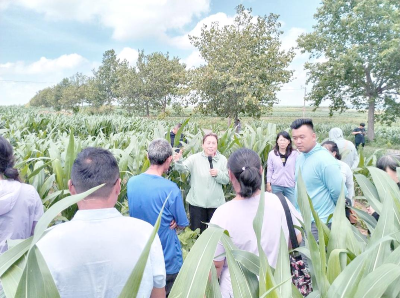 水稻玉米大豆种植技术