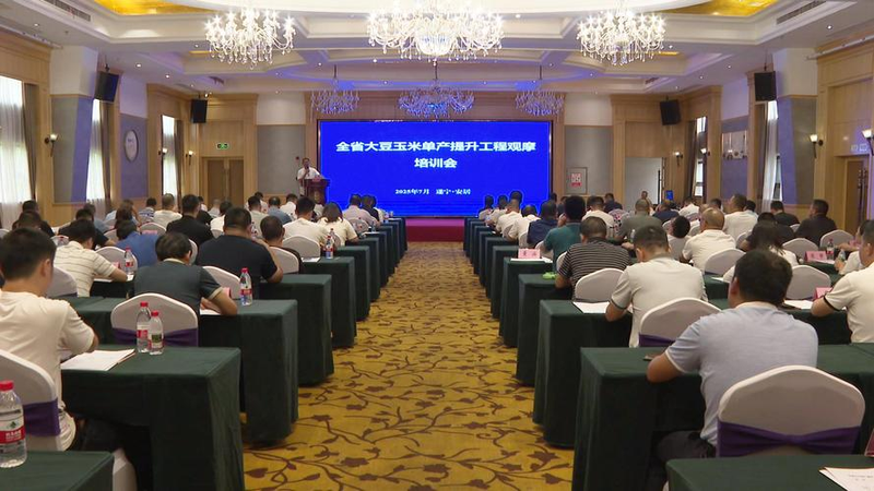 水稻玉米大豆种植技术