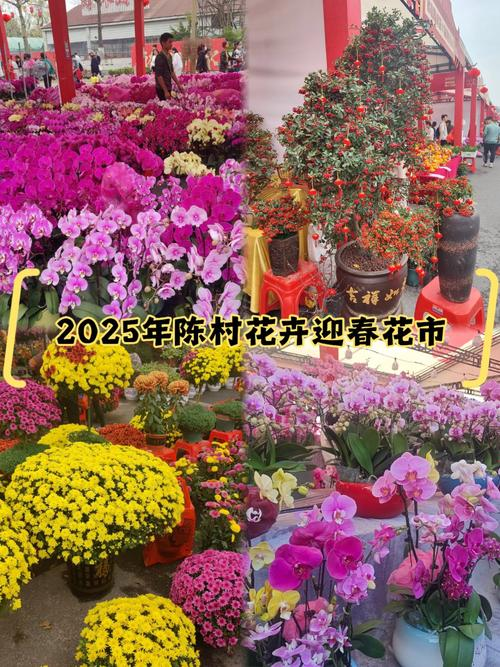 适合九江种植的果树