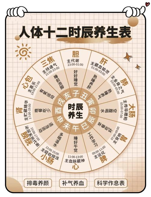 中医常识与养生