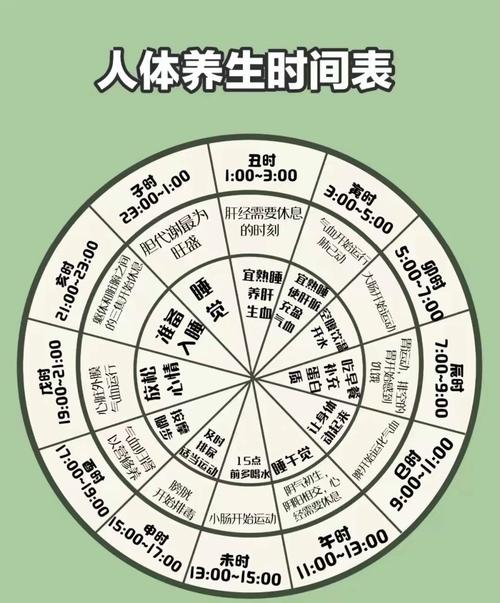 中医常识与养生