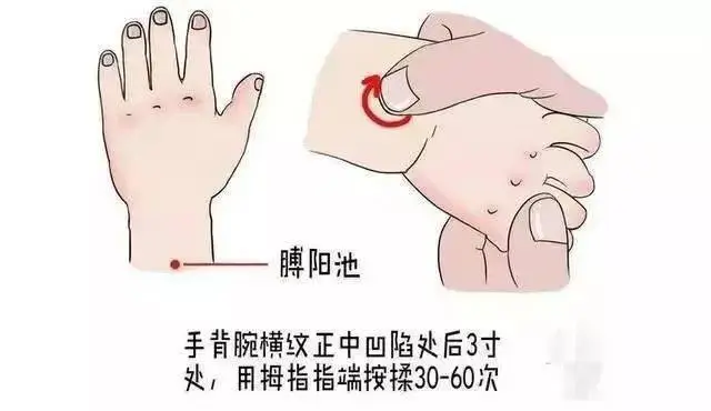 小儿推拿常用儿科术语