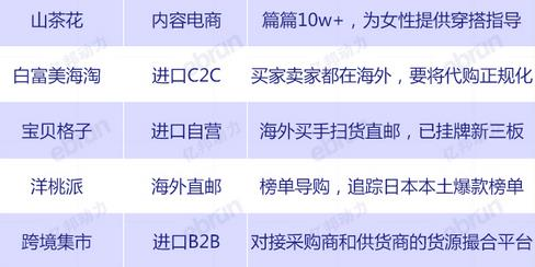 国内海淘网站排名