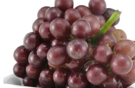 Equinox 5 cultivation methods