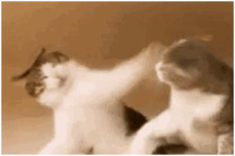 Is seo good at learning