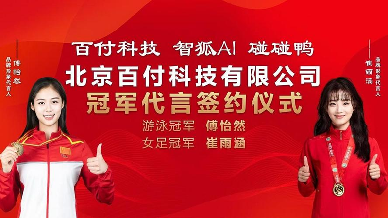 郑州网站排名优化软件