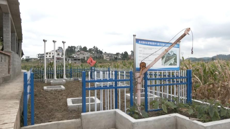 猕猴桃的种植方法