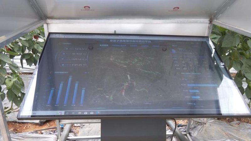 猕猴桃的种植方法