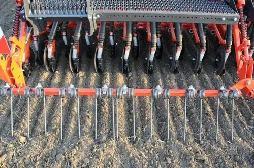 芥菜的种植方法