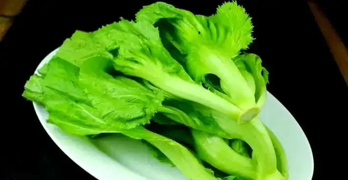 芥菜的种植方法