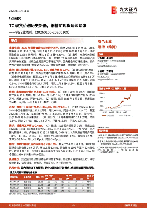 Calculation of the price of imported copper concentrate