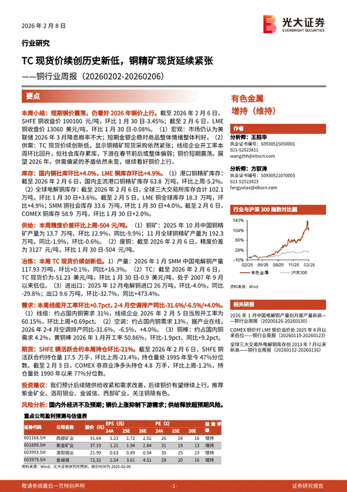Calculation of the price of imported copper concentrate