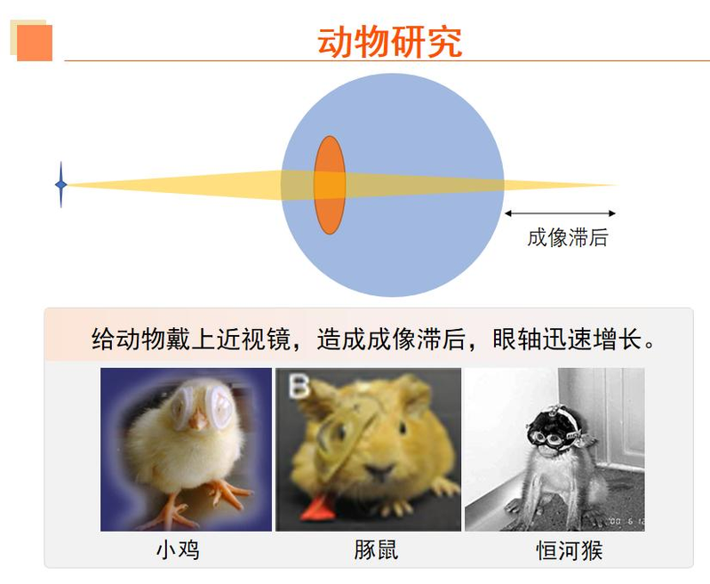 近视眼镜工作原理