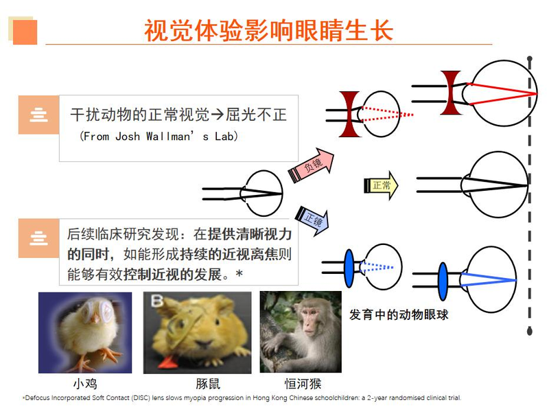近视眼镜工作原理