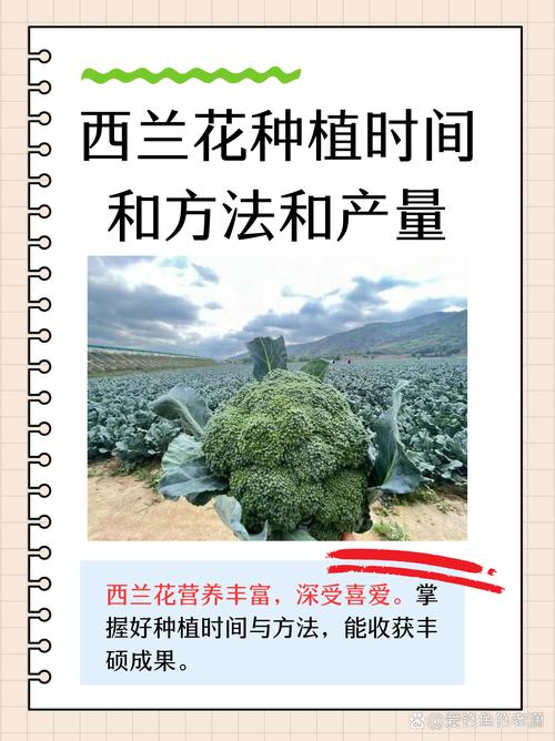 Spring orchid planting techniques