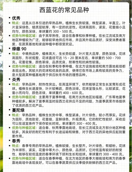 Spring orchid planting techniques