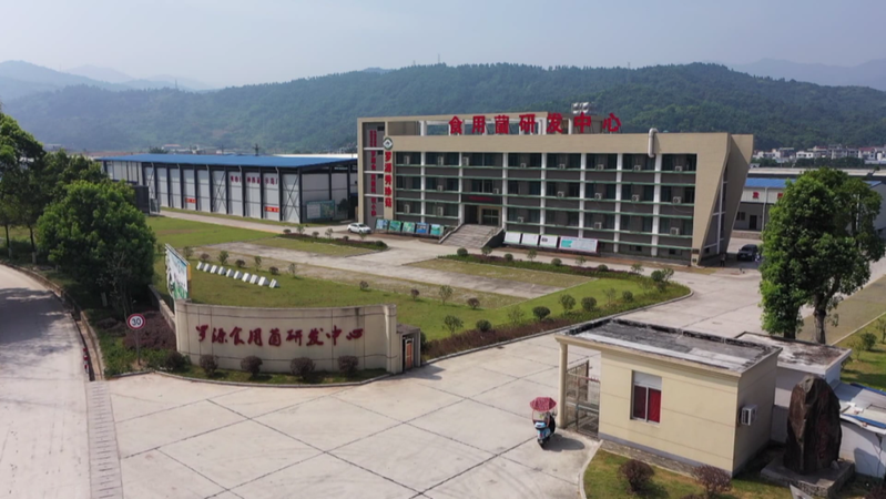 福建古田食用菌种植技术