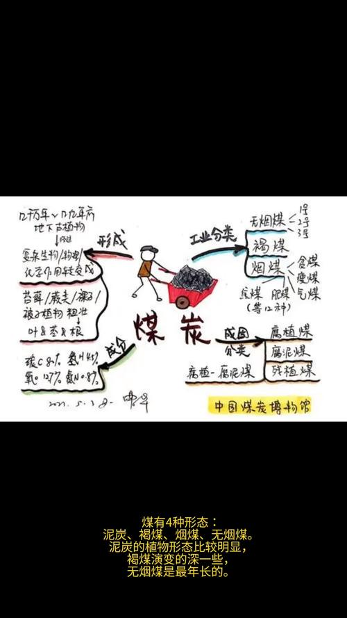 Coal processing using knowledge questions and answers