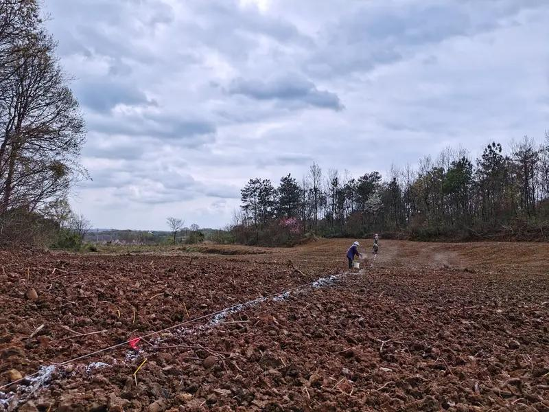 Improved white arts cultivation techniques