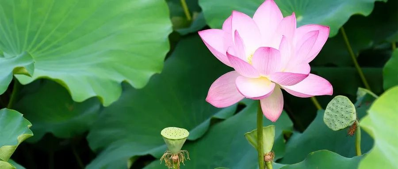 纪律处分条例特点