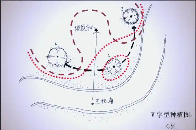 景观树的种植技术