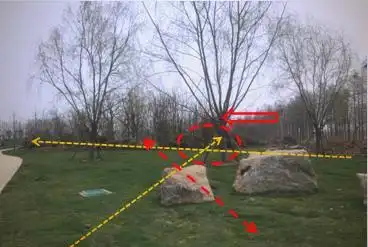 景观树的种植技术