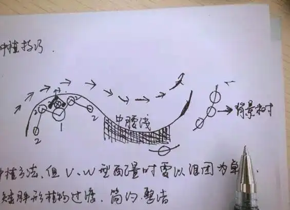 景观树的种植技术