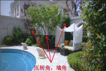 景观树的种植技术