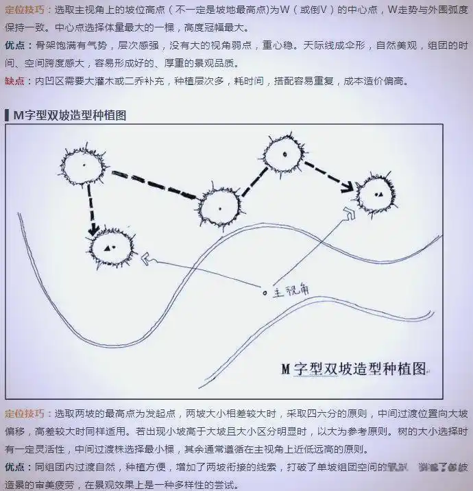 景观树的种植技术