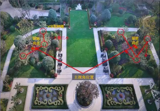 景观树的种植技术