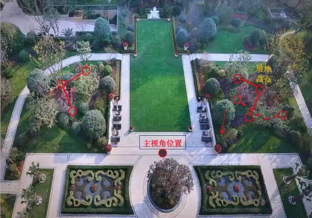 景观树的种植技术