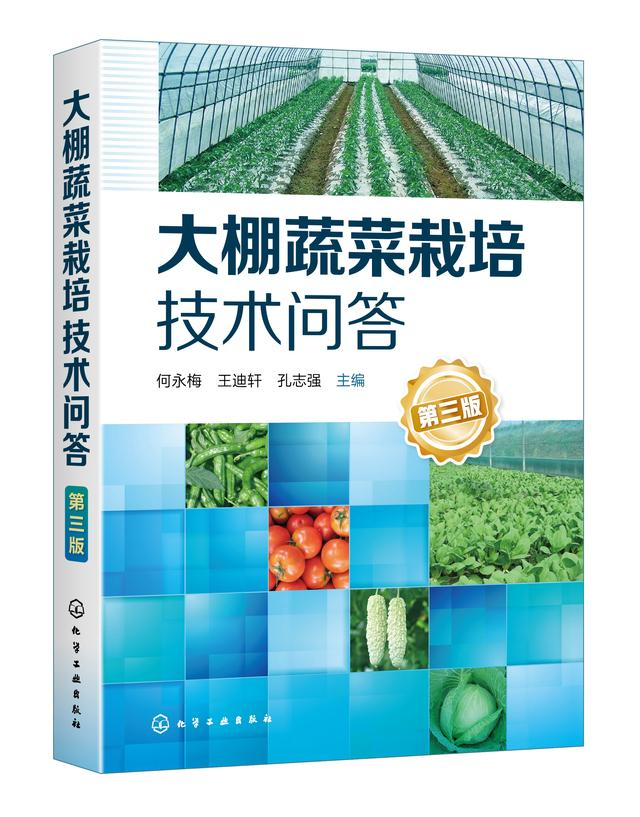 秋冬大棚黄瓜种植技术