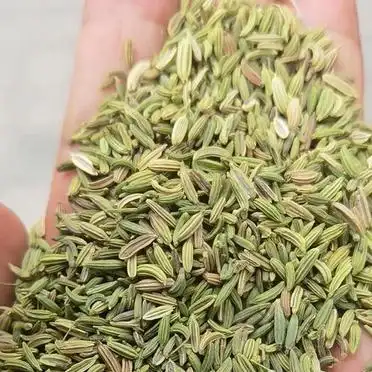 大茴香种植技术和时间