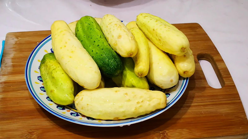 秋冬大棚黄瓜种植技术