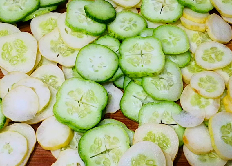 秋冬大棚黄瓜种植技术