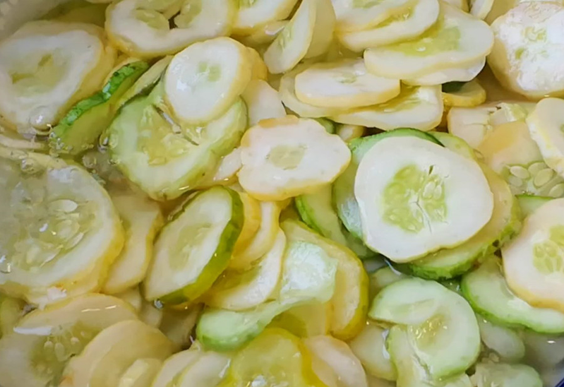 秋冬大棚黄瓜种植技术